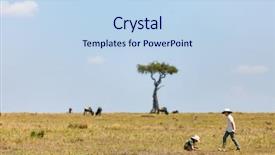  Presentation with migration - Amazing presentation theme having kids witnessing great migration backdrop and a light blue colored foreground