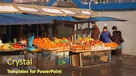  Presentation with flea - 