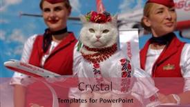  Presentation with promotion - 