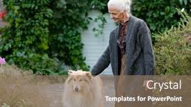  Presentation with dog house - Presentation theme enhanced with kind-grandmother-cuddling-collie-dog background and a coral colored foreground