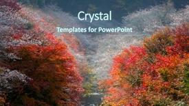  Presentation with sakura - Slide deck enhanced with kind of sakura blooms once background and a ocean colored foreground