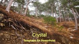  Presentation with hill - PPT theme with kind rocks - hill in the coniferous forest background and a tawny brown colored foreground
