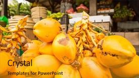  Presentation with coconut fruit - PPT layouts having king coconut bunch in fruit background and a gold colored foreground