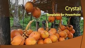  Presentation with cheap - Slide set having king coconuts on sale background and a  colored foreground