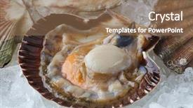  Presentation with vanilla ice cream fresh - Amazing slide set having king james - fresh raw open scallop backdrop and a  colored foreground