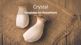  Presentation with oyster - Audience pleasing PPT layouts consisting of king-oyster-mushrooms backdrop and a coral colored foreground