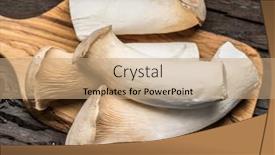  Presentation with oyster - Slide set having king-oyster-mushrooms background and a coral colored foreground