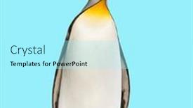  Presentation with king - Presentation theme with king-penguin-standing-in-front background and a arctic colored foreground