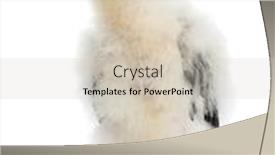  Presentation with king - Slides with king-vulture-sarcoramphus-papa-3 background and a soft green colored foreground