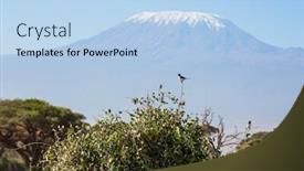  Presentation with kenya - Colorful slide deck enhanced with kingfisher-sitting-on-a-bush backdrop and a light blue colored foreground