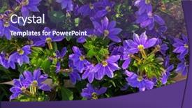  Presentation with fairy garden - Audience pleasing presentation design consisting of kings park and botanic garden backdrop and a violet colored foreground