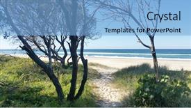  Presentation with south beach - Audience pleasing PPT theme consisting of kingscliff beach new south wales backdrop and a light blue colored foreground