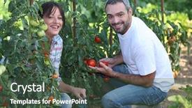  Presentation with gardening - Presentation consisting of kitchen garden - couple gardening background and a tawny brown colored foreground
