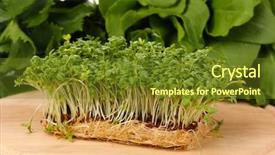  Presentation with wooden boat at sea edge - Slides enhanced with attack crime fraud phishing hacker background and a cobalt blue colored foreground.