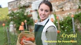  Presentation with pile of fresh cassava - Cool new PPT theme with kitchen garden - smiling woman holding basket backdrop and a tawny brown colored foreground