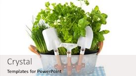  Presentation with garden tools - PPT theme featuring kitchen-herbs-in-bucket background and a light gray colored foreground
