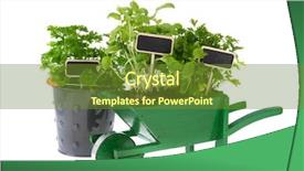  Presentation with wheel - Beautiful theme featuring kitchen herbs in pot and wheel barrow isolated over white backdrop and a tawny brown colored foreground