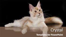  Presentation with hat - Slides featuring kiten-a-santa-hat background and a coral colored foreground