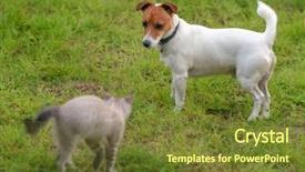  Presentation with green lawn - Beautiful PPT theme featuring kitten-and-dog-on-green backdrop and a tawny brown colored foreground