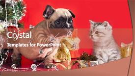  Presentation with kitten - Beautiful slide set featuring traditional american corndog junk food backdrop and a coral colored foreground