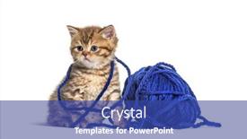  Presentation with wool - Presentation design enhanced with kitten-british-shorthair-cat-playing background and a ocean colored foreground