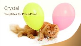  Presentation with balloons - Amazing theme having kitten holiday balloons isolated backdrop and a cream colored foreground