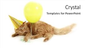  Presentation with play - Colorful presentation design enhanced with kitten holiday play with cap green balloon isolated on white background backdrop and a white colored foreground