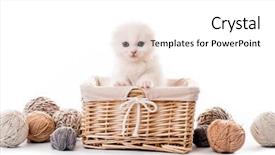  Presentation with hello kitty cute little kitten - Presentation design with kitten in basket with lace background and a white colored foreground