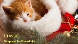  Presentation with kitten - Colorful PPT theme enhanced with kitten-in-santa-hat backdrop and a tawny brown colored foreground