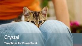  Presentation with lays - Beautiful presentation theme featuring jeans of someone's lap backdrop and a seafoam green colored foreground