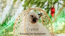  Presentation with baby tree - Beautiful PPT theme featuring kitten-lies-on-the-christmas backdrop and a soft green colored foreground