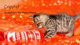  Presentation with socks - Slide set enhanced with kitten-playing-with-christmas-socks background and a gold colored foreground