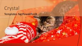  Presentation with socks - Colorful presentation theme enhanced with kitten-playing-with-christmas-socks backdrop and a yellow colored foreground