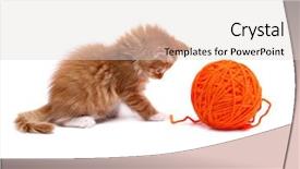 Presentation with hello kitty cute little kitten - PPT theme with kitten playing with orange ball background and a lemonade colored foreground