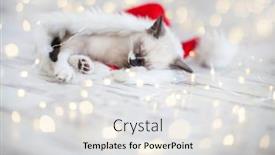  Presentation with sleep - Cool new PPT theme with kitten-sleep-in-christmas-hat backdrop and a white colored foreground