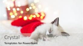  Presentation with sleep - Presentation theme with kitten-sleep-in-christmas-hat background and a light gray colored foreground