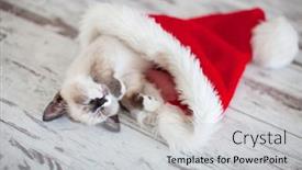  Presentation with sleep - Slide set enhanced with kitten-sleep-in-christmas-hat background and a light gray colored foreground