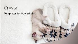  Presentation with sleep - Audience pleasing slide set consisting of plaid near home slippers backdrop and a white colored foreground