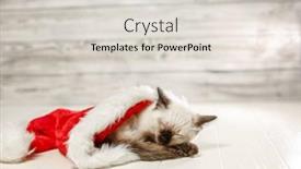  Presentation with new baby - Theme with kitten-sleeps-on-the-floor background and a lemonade colored foreground