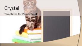  Presentation with hello kitty cute little kitten - Beautiful slides featuring concept of hipster travel traveler backdrop and a gray colored foreground