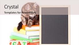  Presentation with hello kitty cute little kitten - Audience pleasing PPT theme consisting of kitten with books and blackboard backdrop and a soft green colored foreground