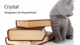  Presentation with baby animals - Beautiful presentation featuring kitten with pile of book backdrop and a  colored foreground