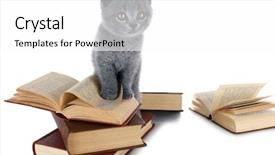  Presentation with hello kitty cute little kitten - Beautiful slide set featuring kitten with pile of book backdrop and a white colored foreground
