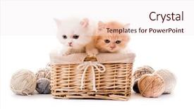  Presentation with background - Cool new theme with kittens in basket with lace backdrop and a sky blue colored foreground