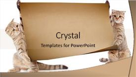  Presentation with security encryption decryption text - Theme enhanced with kittens with placard or banner background and a coral colored foreground