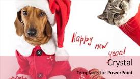  Presentation with dog christmas - Presentation theme featuring kitty christmas - british kitten and dog dachshund background and a coral colored foreground