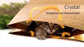  Presentation with kitten - Cool new presentation design with seville sevilla plaza de espana provincial bench andalusia spain square exterior image shot from public floor backdrop and a gray colored foreground