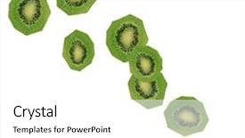  Presentation with kiwi - Slide set featuring kiwi over white background background and a white colored foreground