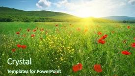  Presentation with green nature - Audience pleasing PPT theme consisting of klaproos - big green spring meadow backdrop and a tawny brown colored foreground