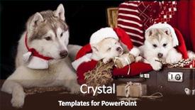  Presentation with happy new year - Cool new presentation theme with klaus - happy puppies and new year backdrop and a tawny brown colored foreground